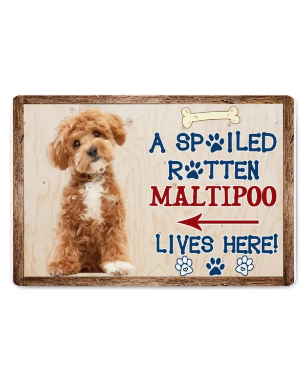 A Spoiled Rotten Maltipoo Lives Here