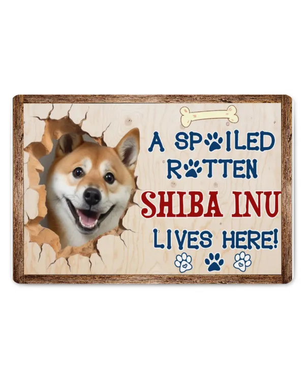 A Spoiled Rotten Shiba Inu Lives Here
