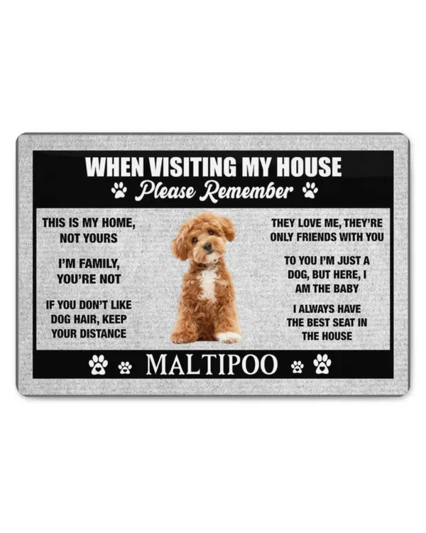 Door Mat