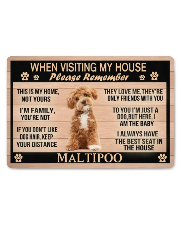 Maltipoo Lovers