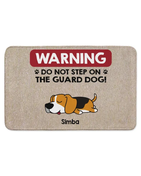 Indoor Floor Mat
