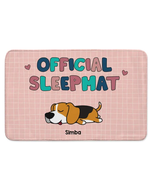 Indoor Floor Mat