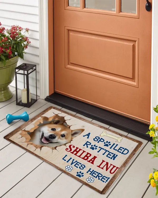 Indoor Floor Mat