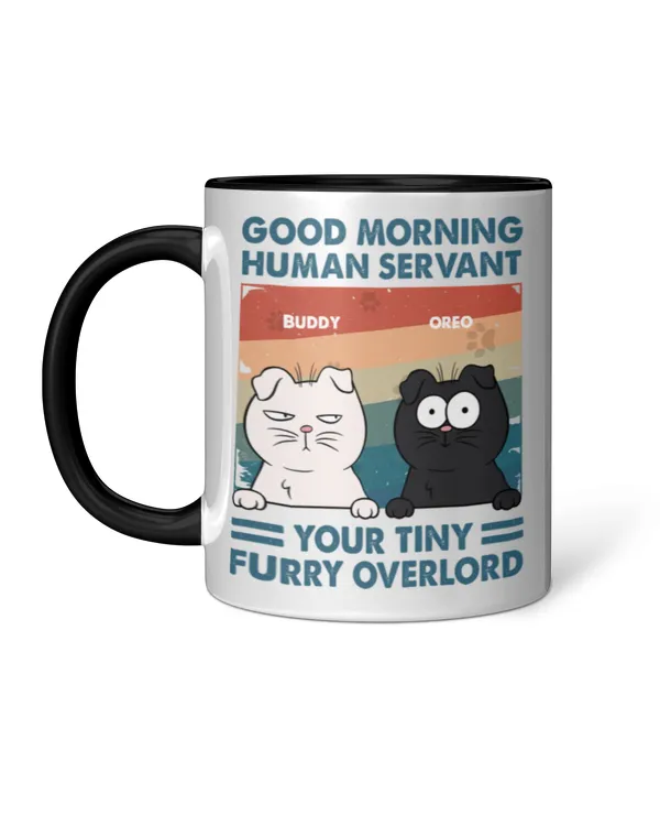 Accent Mug