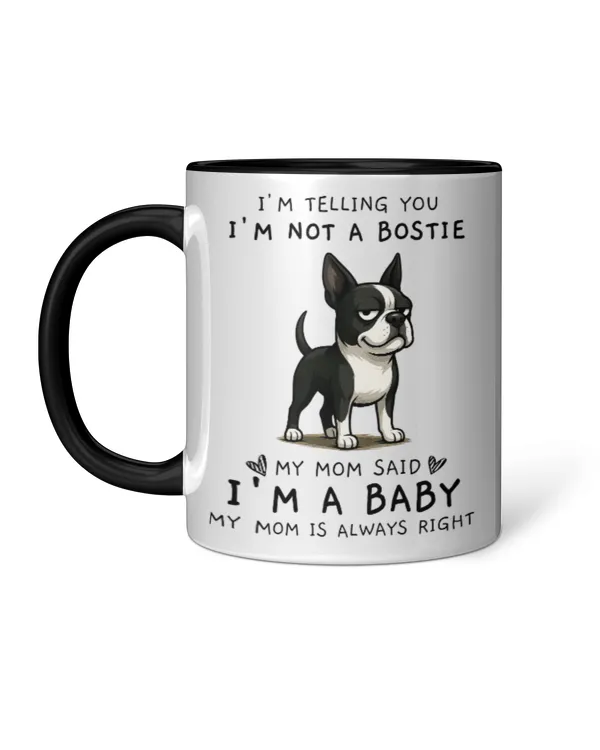 Accent Mug