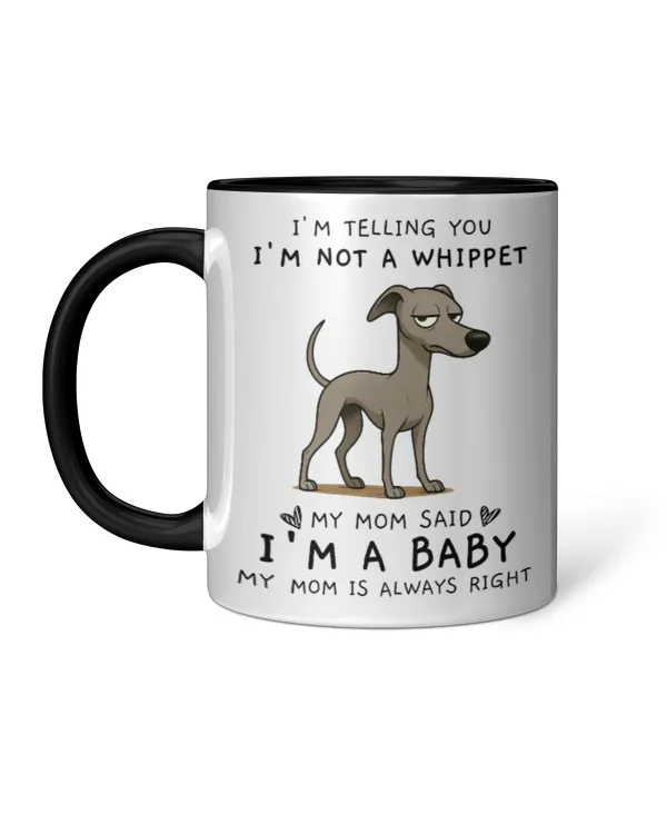 Accent Mug