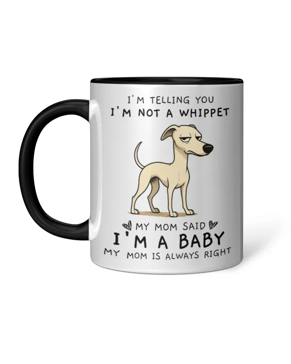 Accent Mug