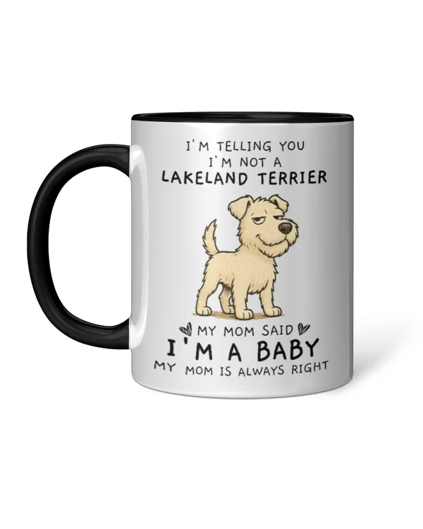 Accent Mug