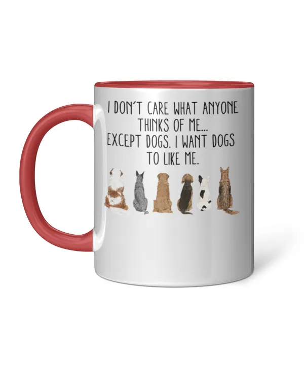 Accent Mug