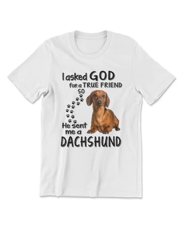 Dachshund Dog I Asked God For A True Friend Dog Lover