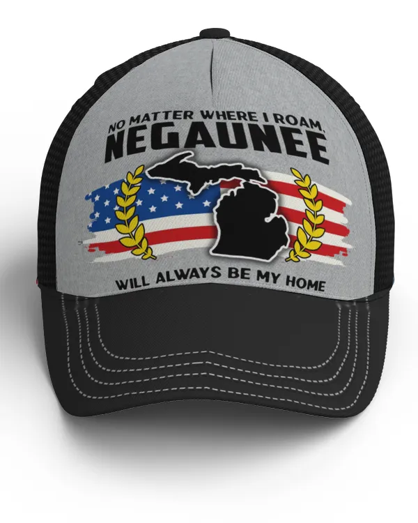 Negaunee MI H005