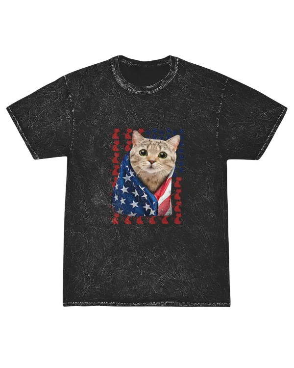 ETT2380 USA Flag Cat