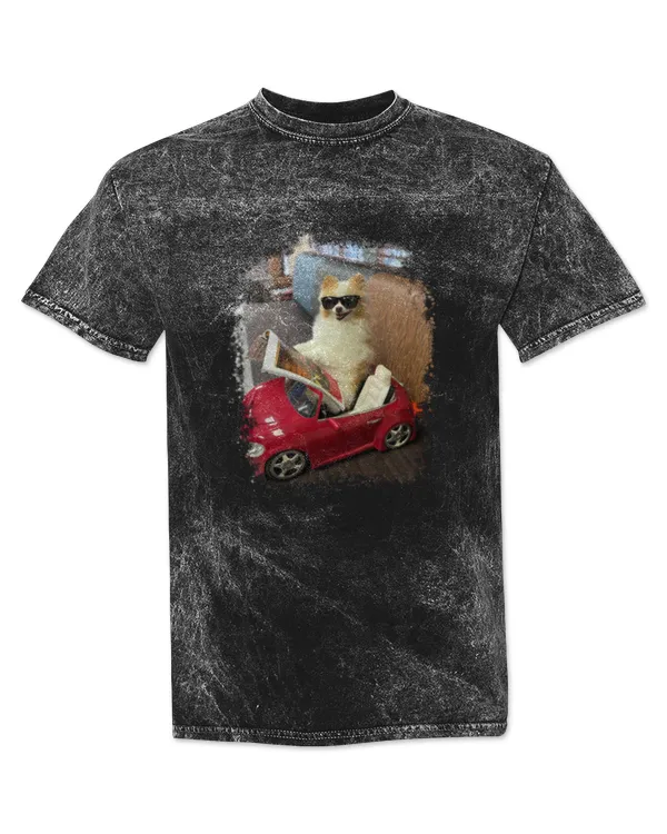 Mineral Wash T-shirt