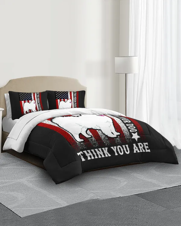 Comforter