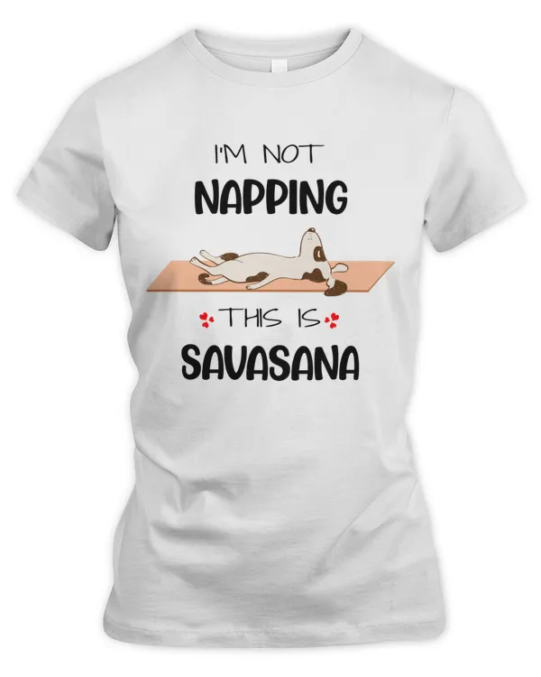 I'm Not Napping This Is Savasana
