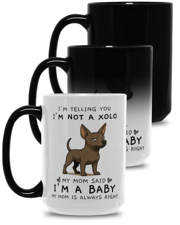 Magic Mug 15oz