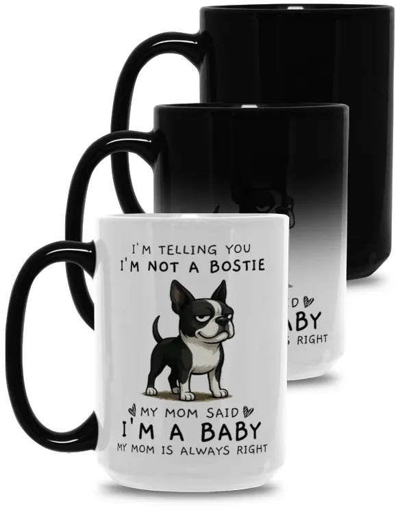 Magic Mug 15oz