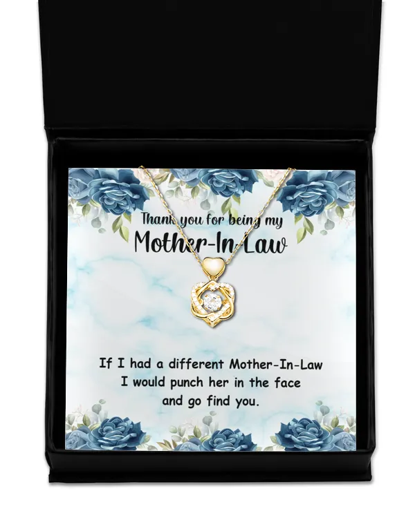 Mother-in-law (1)