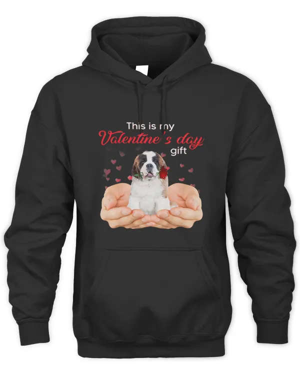 Unisex Premium Hoodie