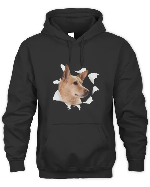 Unisex Premium Hoodie