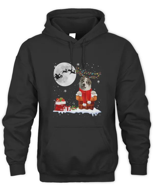 Unisex Premium Hoodie
