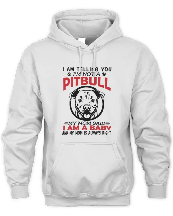 Unisex Premium Hoodie