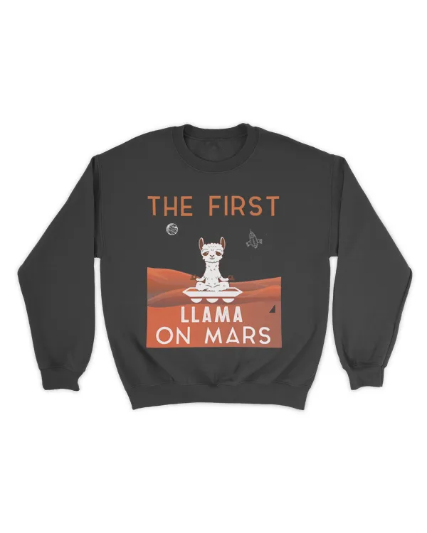 Unisex Premium Crewneck Sweatshirt