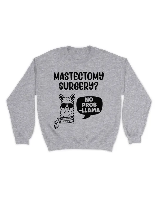 Unisex Premium Crewneck Sweatshirt
