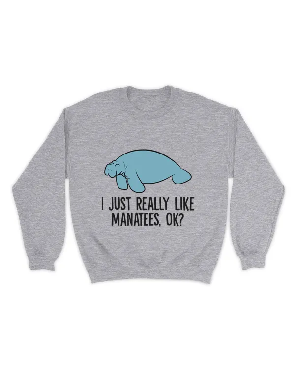Unisex Premium Crewneck Sweatshirt