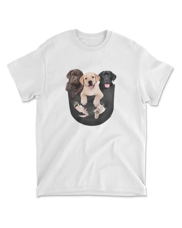 3 Labrador In Pocket