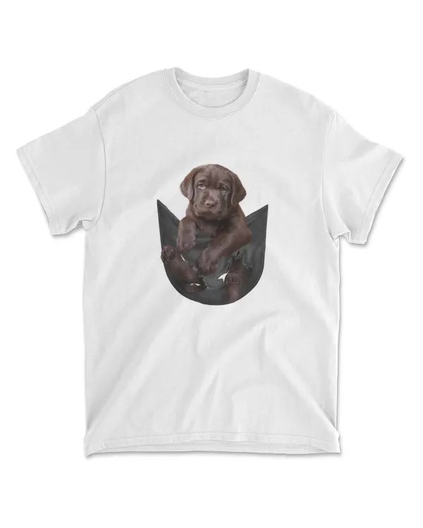 Chocolate Labrador In Pocket