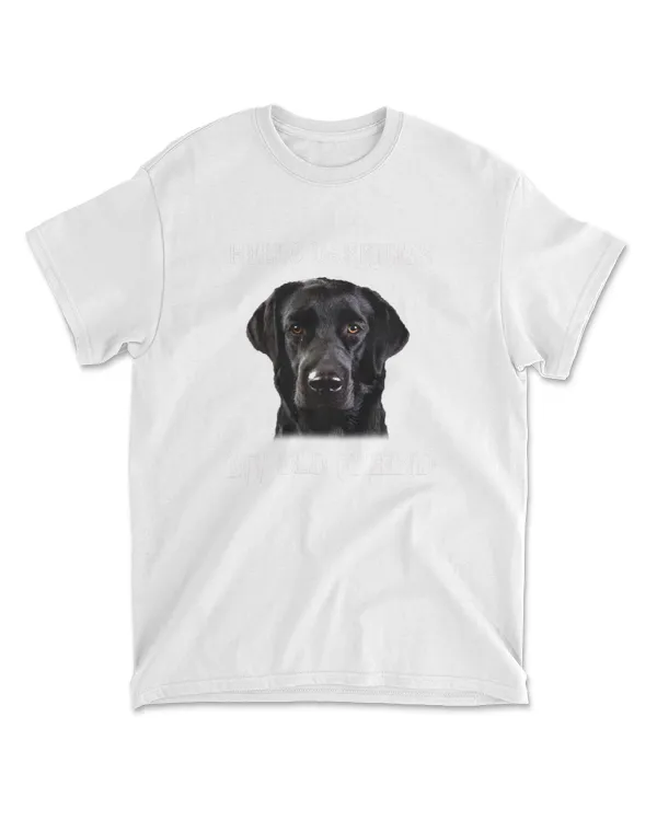 Labrador Hello Darkness My Old Friend