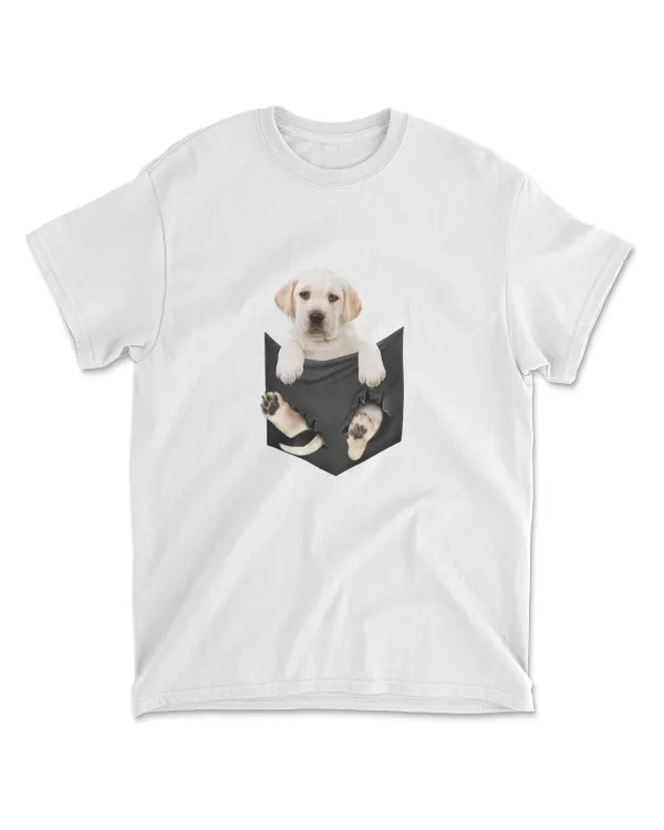 Labrador In Pocket
