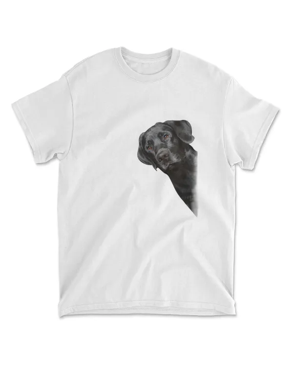 Labrador Look