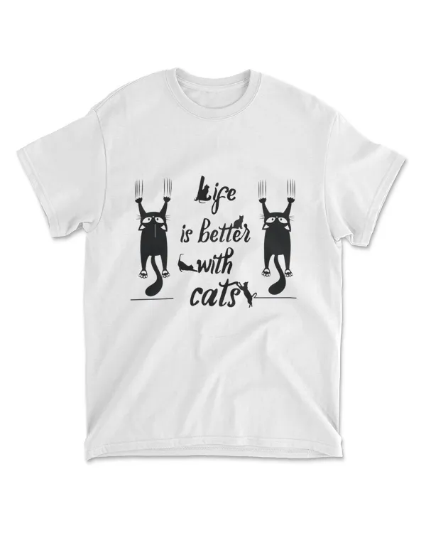 A black cat funny