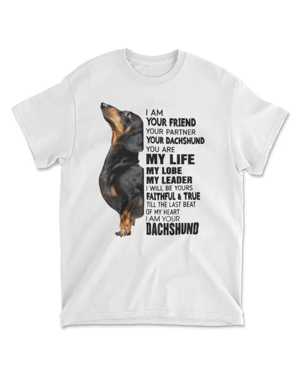 Men's Standard T-Shirt