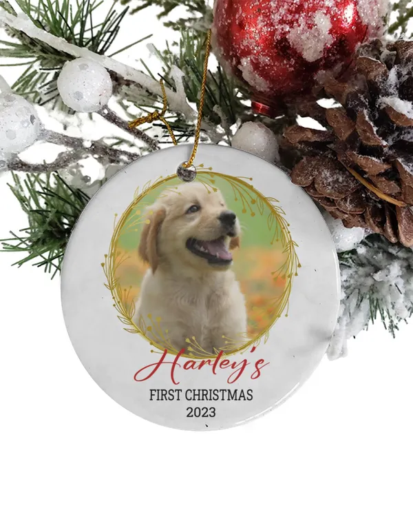 Personalized Custom Name Photo Love Dog First Christmas Gift Ornament