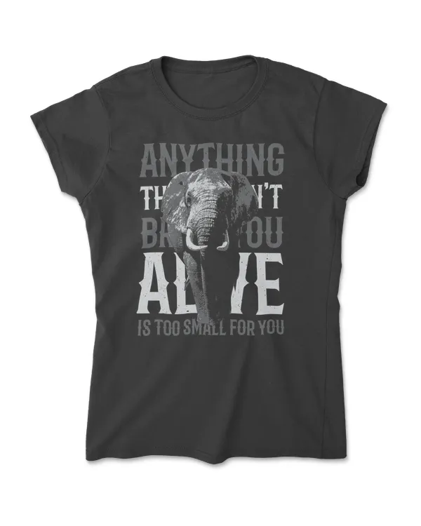 Women's Soft Style T-Shirt