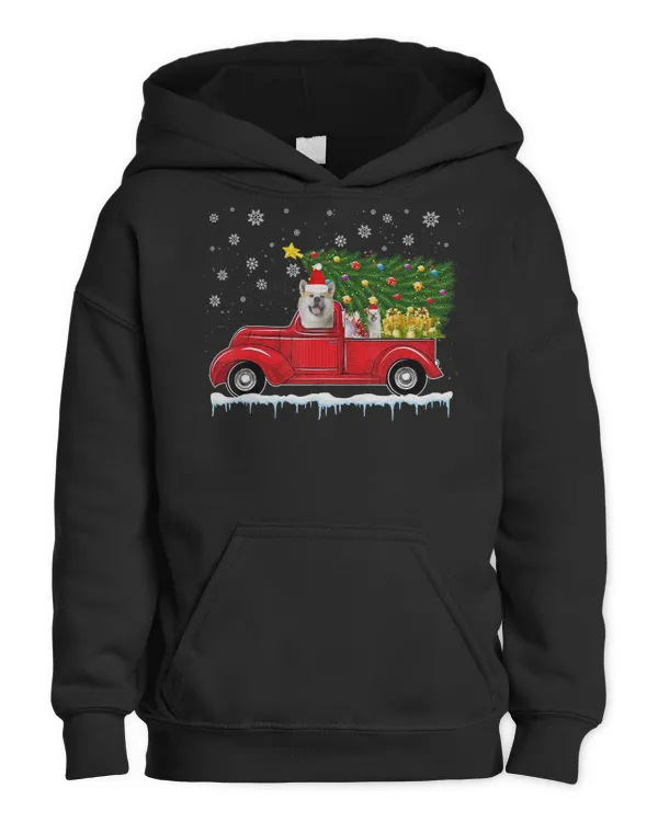 Youth Pullover Hoodie