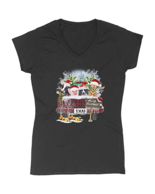 Women's V-Neck T-Shirt