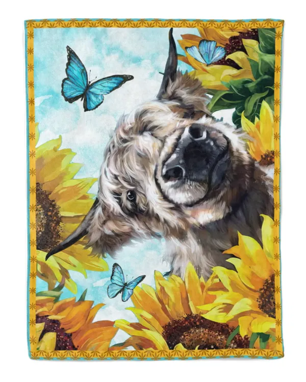 Premium Mink Sherpa Blanket (60x80in)