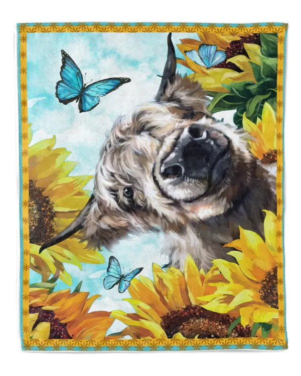 Premium Mink Sherpa Blanket (50x60in)