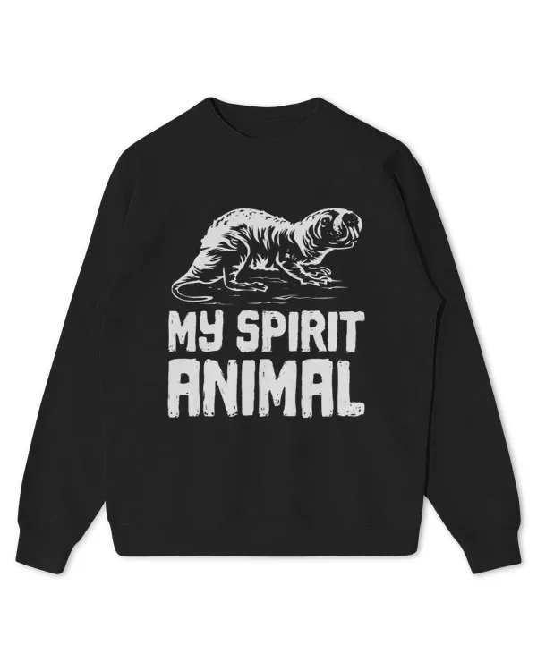 Kids Standard Sweatshirt