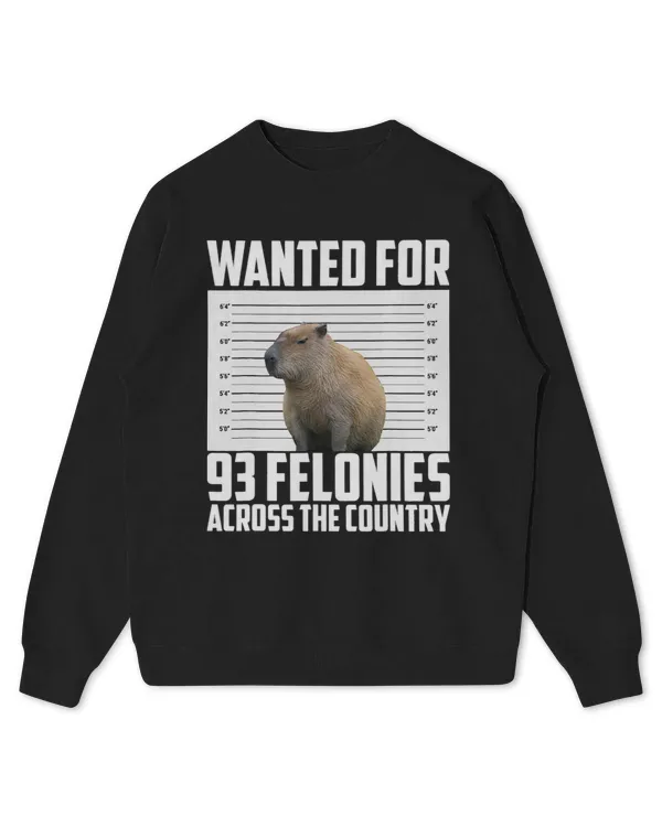 Kids Standard Sweatshirt