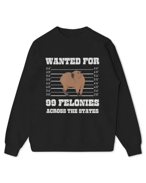 Kids Standard Sweatshirt