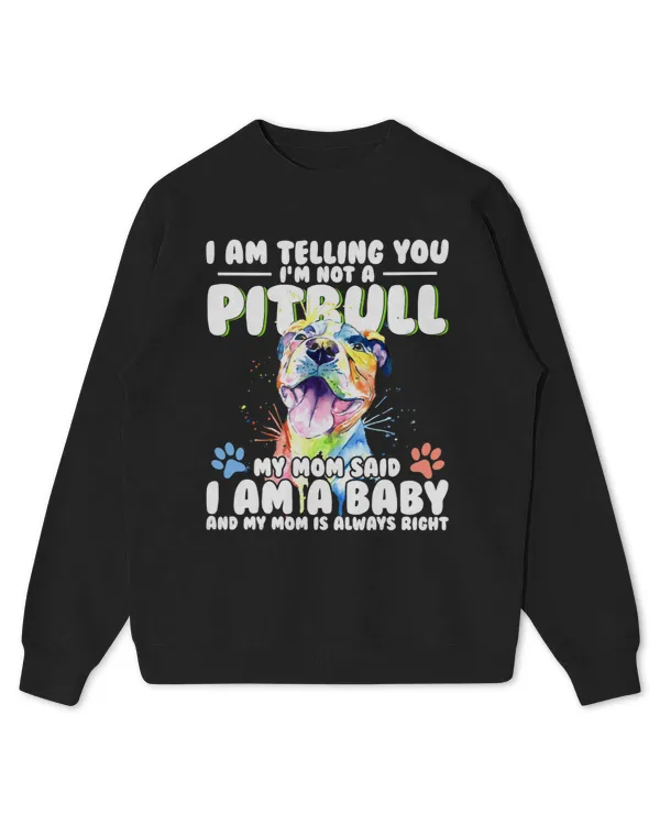 Kids Standard Sweatshirt