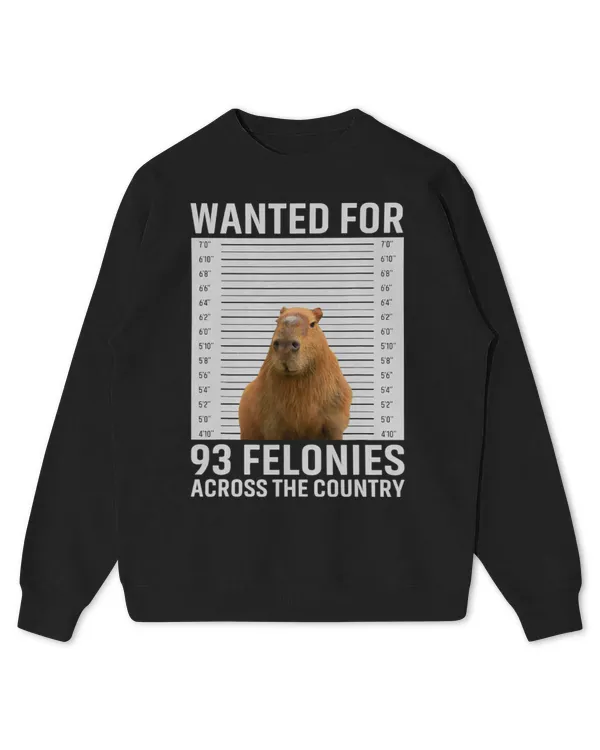 Kids Standard Sweatshirt