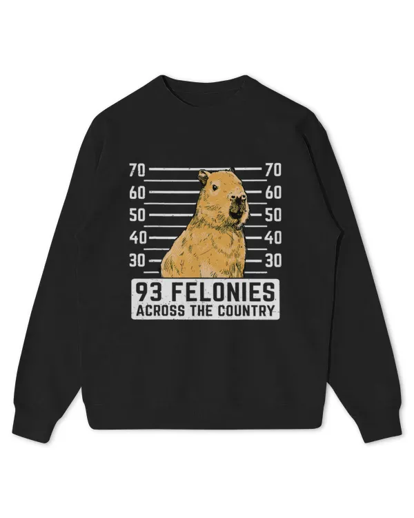 Kids Standard Sweatshirt