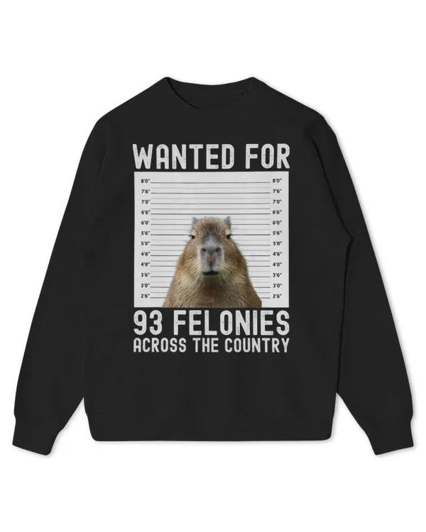 Kids Standard Sweatshirt