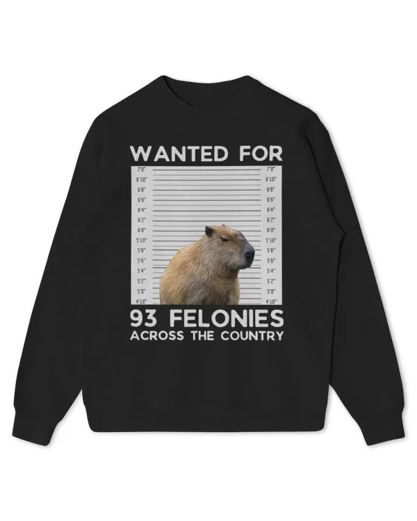 Kids Standard Sweatshirt